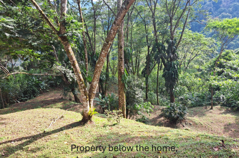 Homes for sale in Puriscal Costa Rica