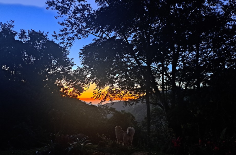 Homes for sale in Puriscal Costa Rica