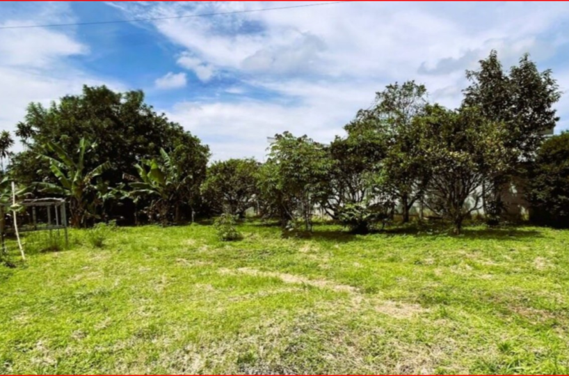 Homes for sale in Alajuela Costa Rica