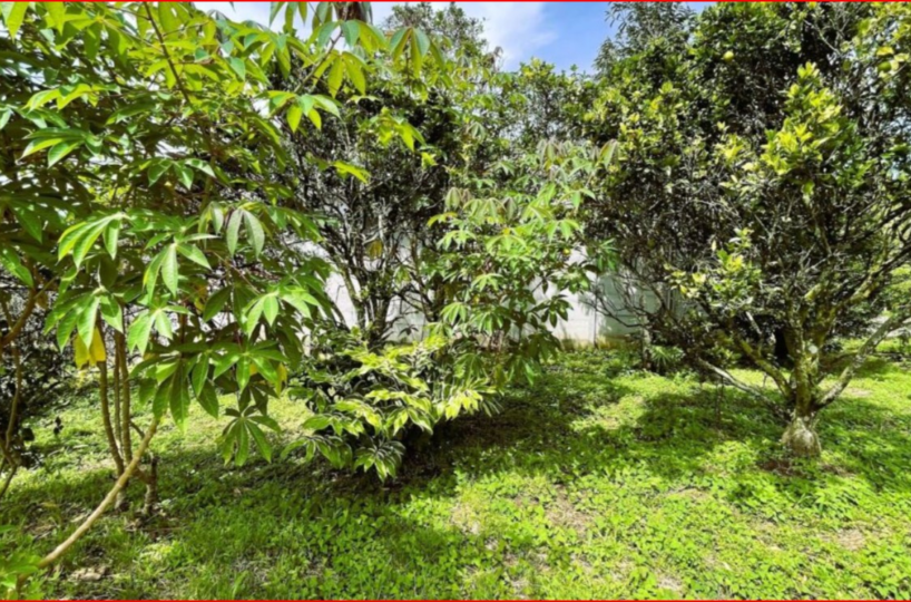 Homes for sale in Alajuela Costa Rica