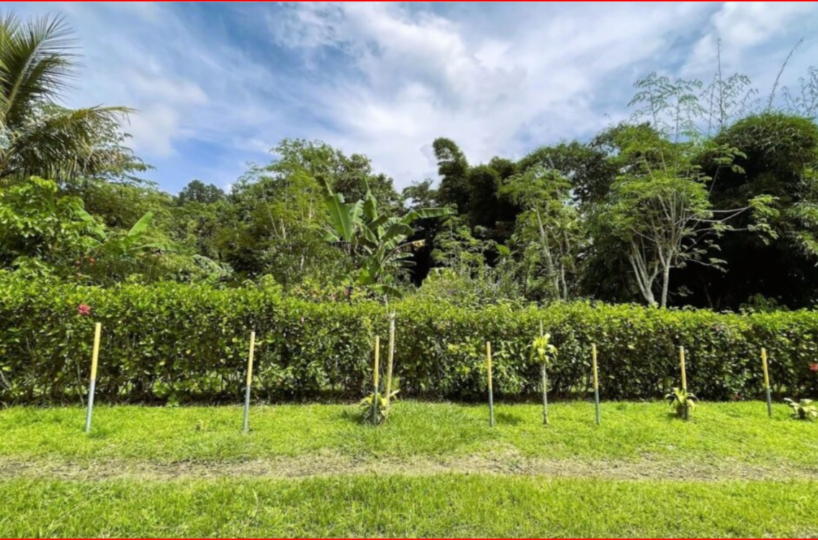 Homes for sale in Alajuela Costa Rica