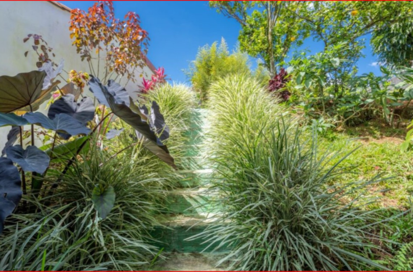 Homes for sale in Grecia Costa Rica