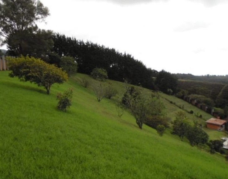 Commercial for sale in Heredia Costa Rica