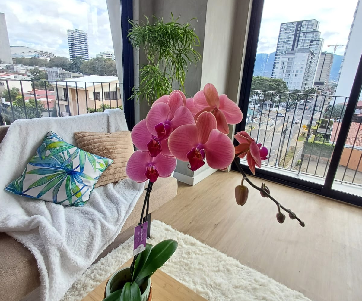 Homes for sale Costa Rica