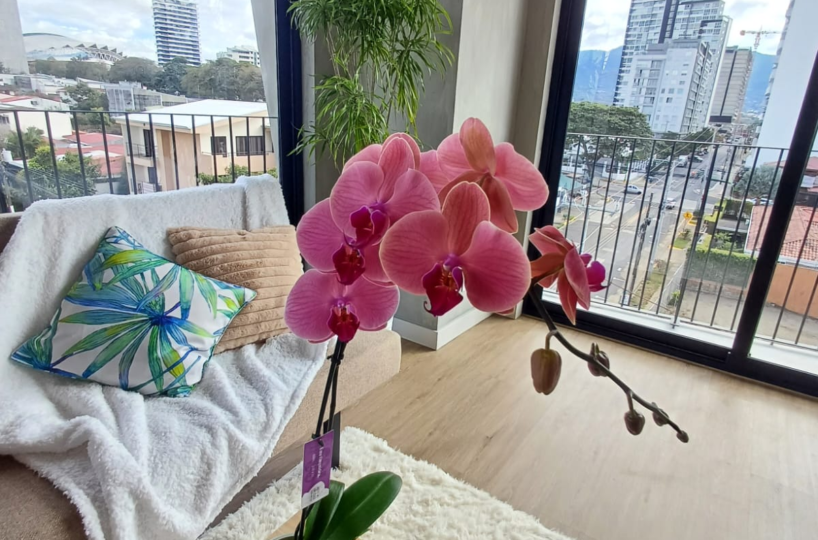 Homes for sale Costa Rica