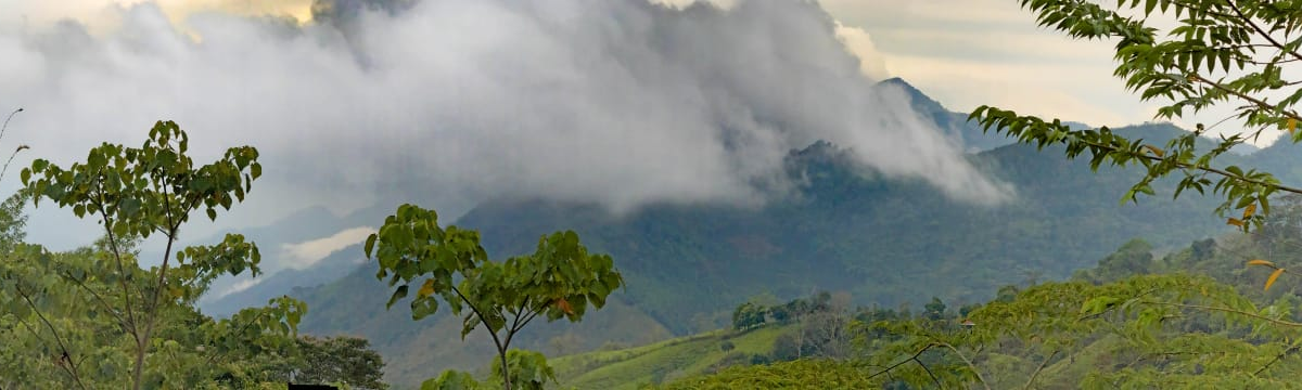 Homes for sale in Puriscal Costa Rica