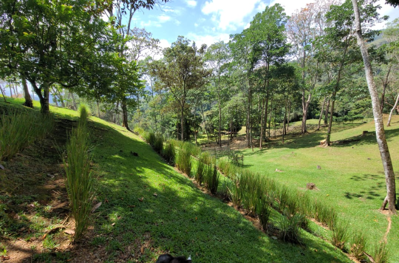 Homes for sale in Puriscal Costa Rica