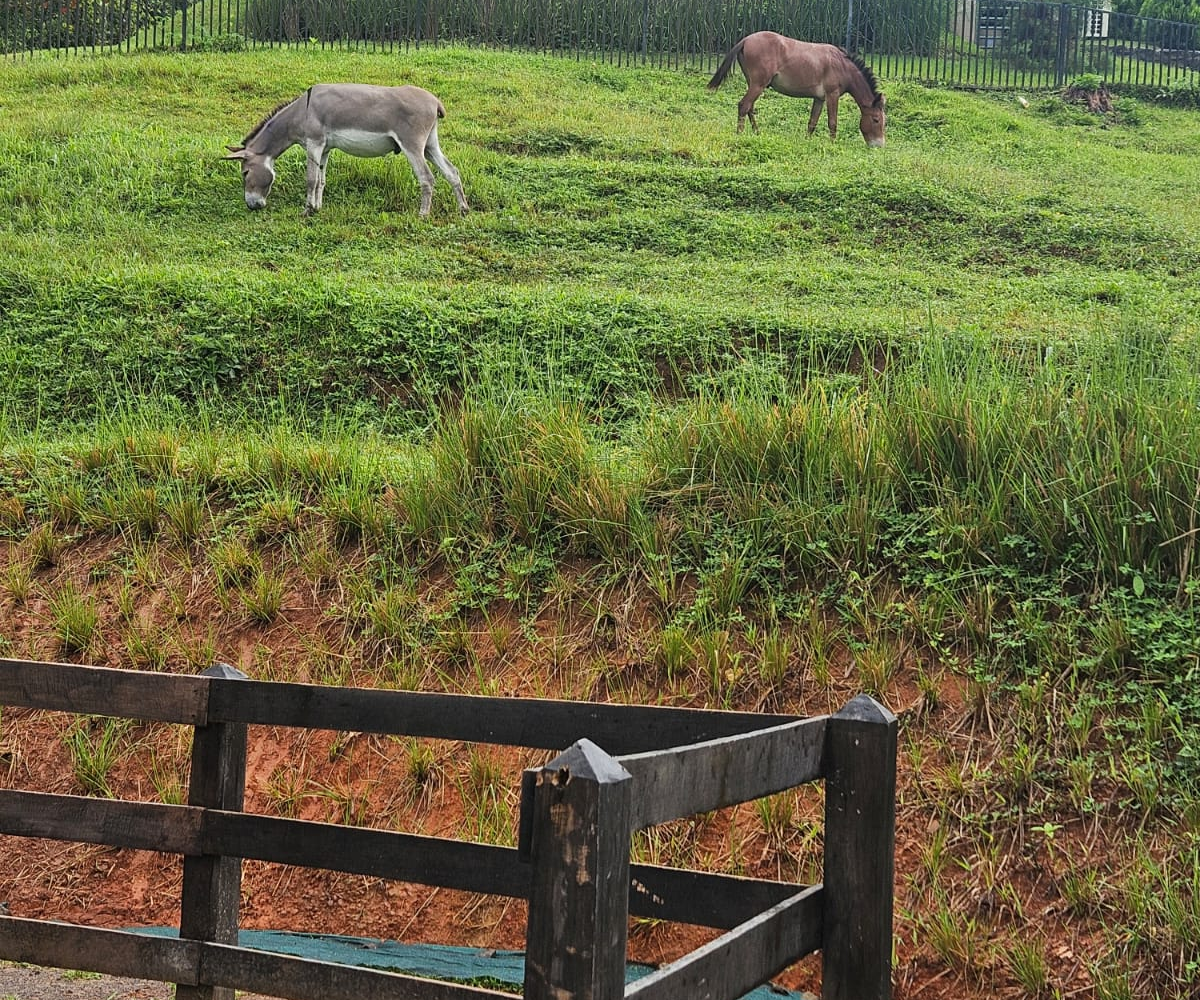 Homes for sale in Puriscal Costa Rica