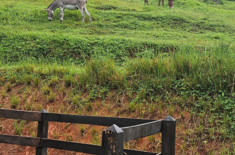 Homes for sale in Puriscal Costa Rica