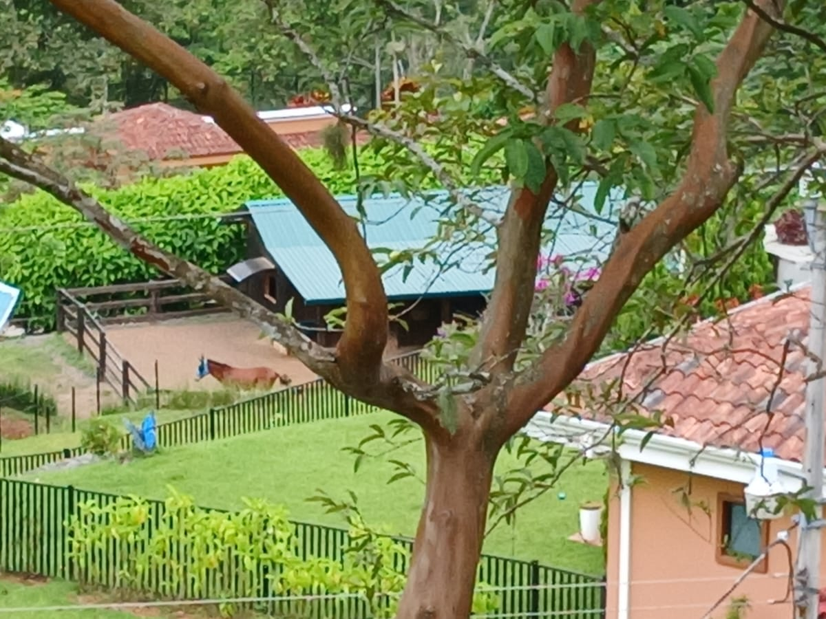 Homes for sale in Puriscal Costa Rica
