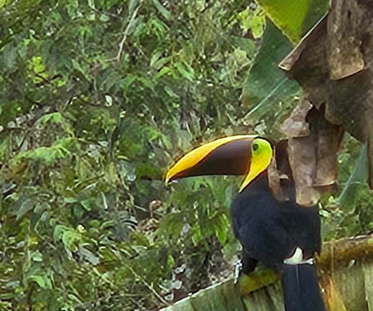Homes for sale in Puriscal Costa Rica