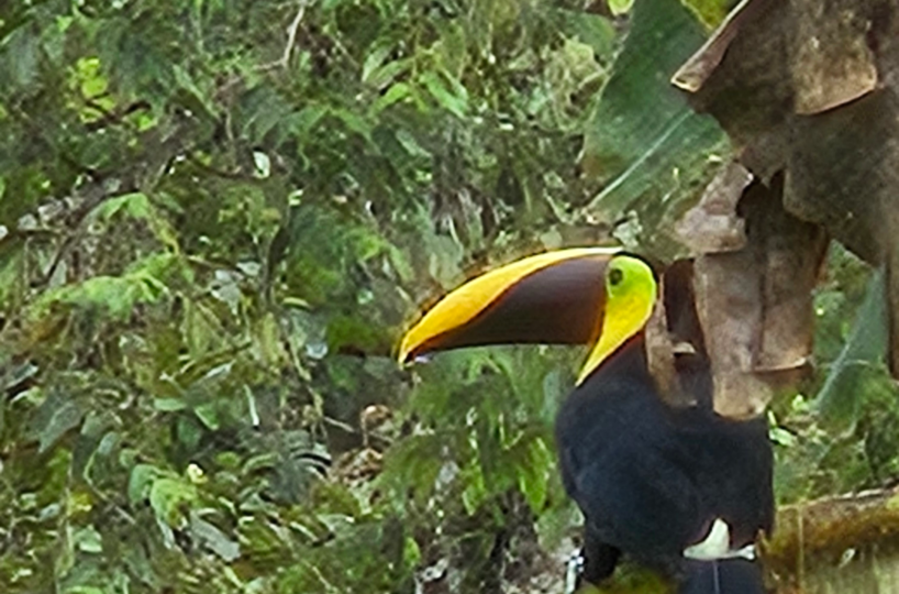 Homes for sale in Puriscal Costa Rica