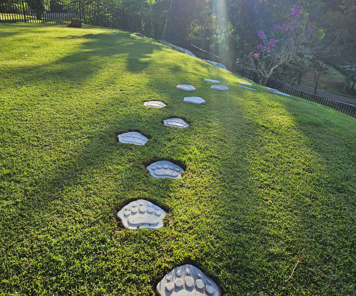 Homes for sale in Puriscal Costa Rica
