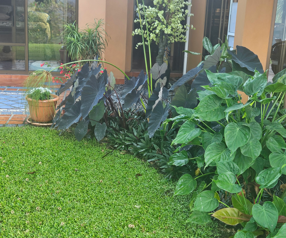 Homes for sale in Puriscal Costa Rica