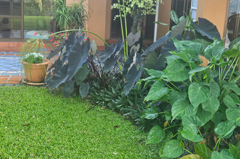 Homes for sale in Puriscal Costa Rica