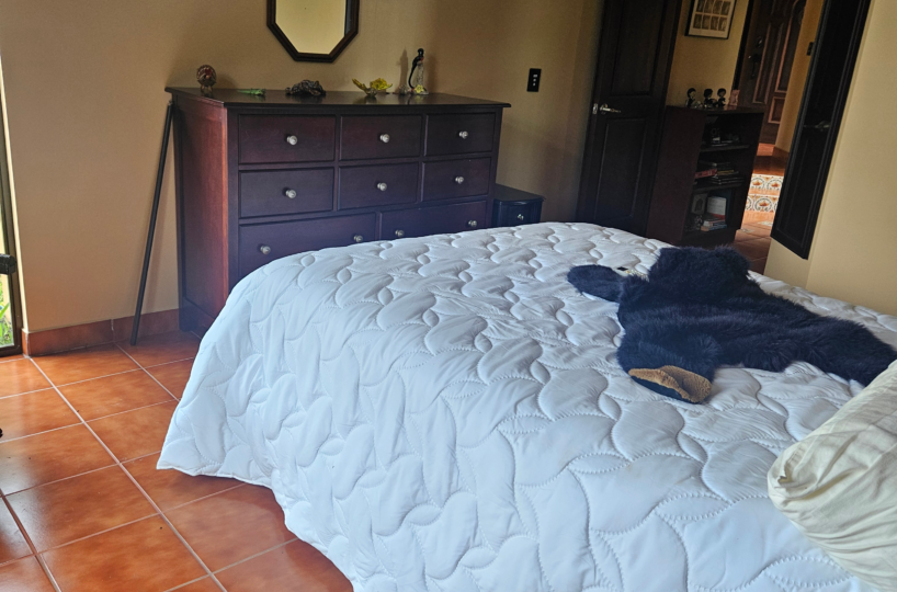 Homes for sale in Puriscal Costa Rica