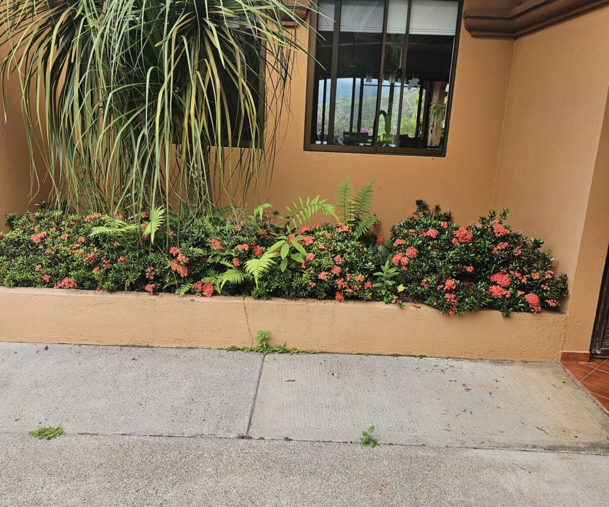 Homes for sale in Puriscal Costa Rica
