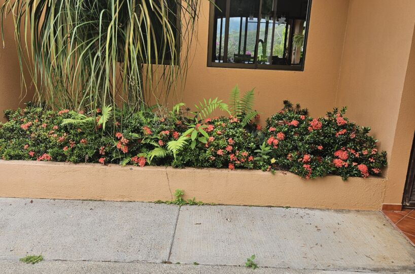 Homes for sale in Puriscal Costa Rica