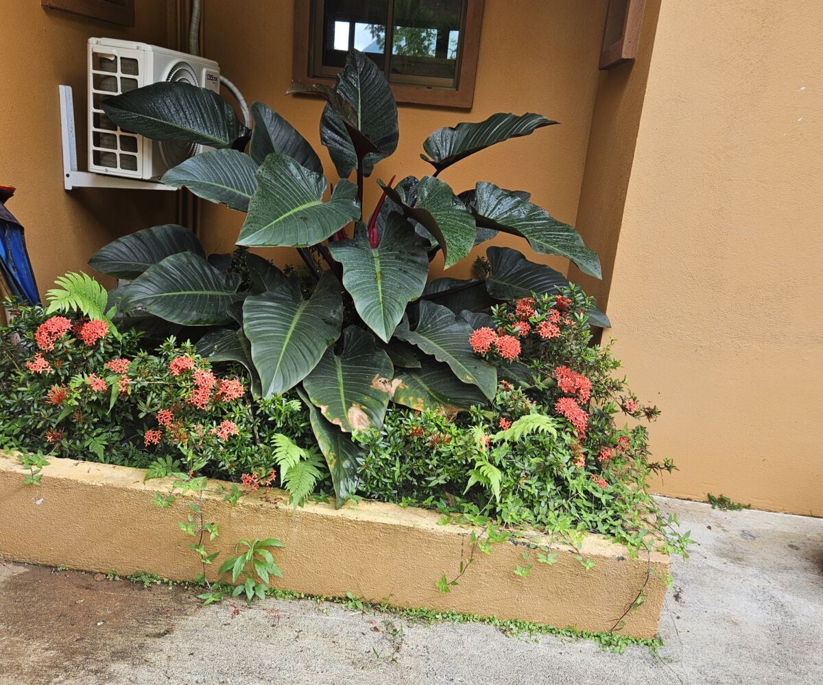 Homes for sale in Puriscal Costa Rica