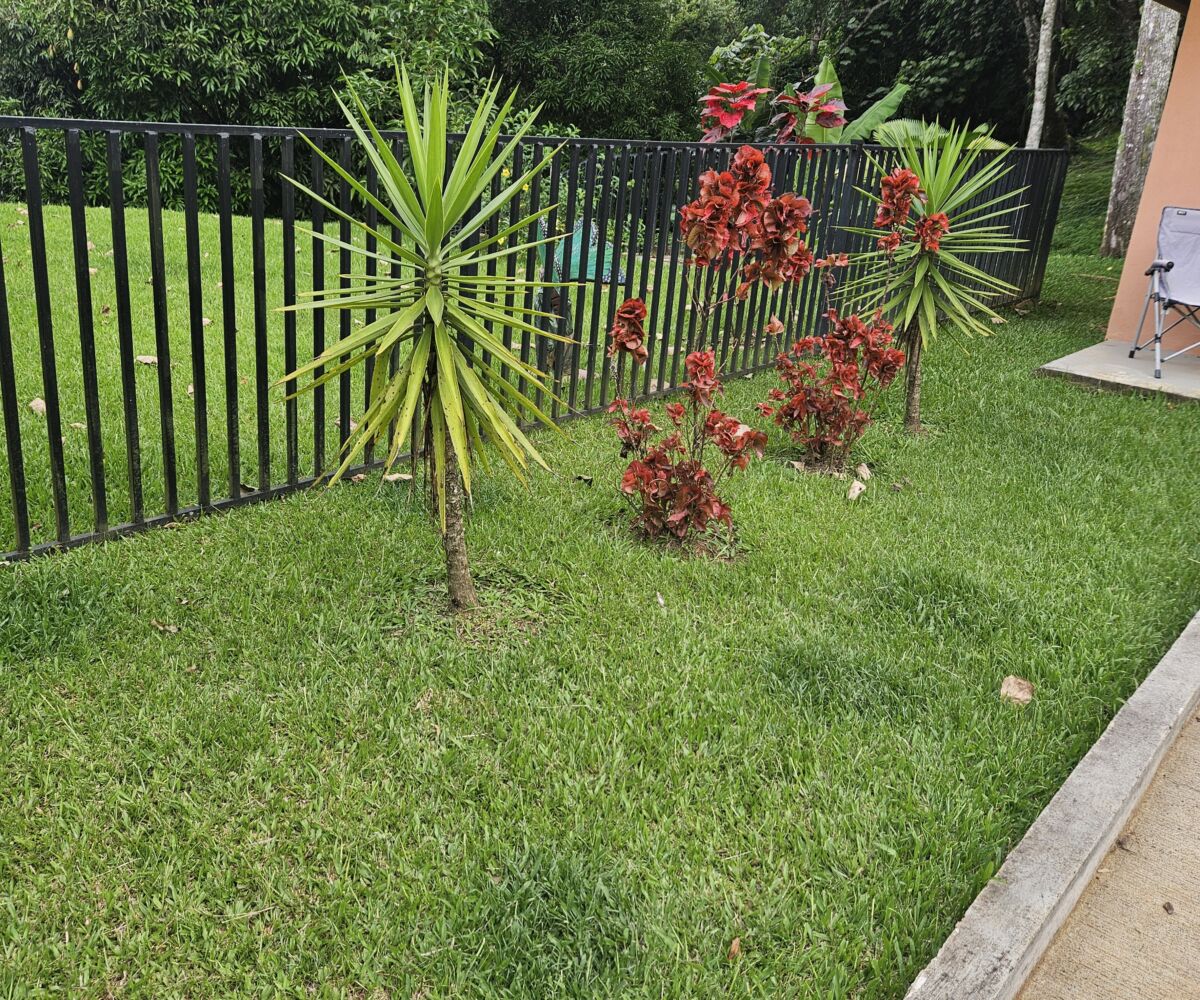 Homes for sale in Puriscal Costa Rica