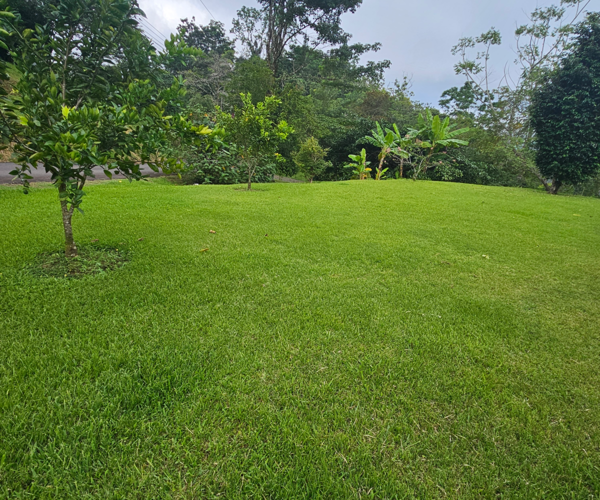 Homes for sale in Puriscal Costa Rica