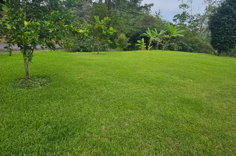 Homes for sale in Puriscal Costa Rica