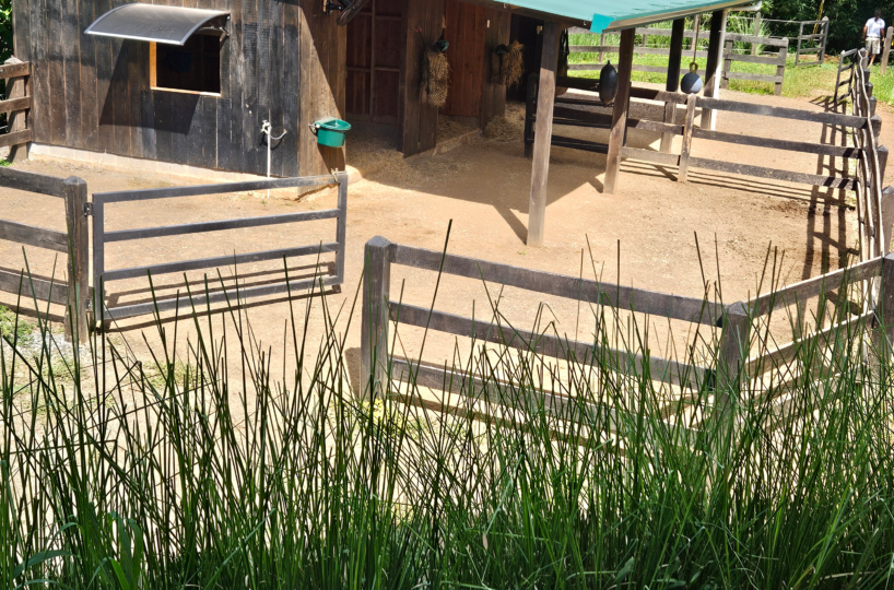 Homes for sale in Puriscal Costa Rica