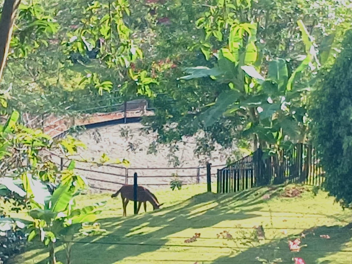 Homes for sale in Puriscal Costa Rica