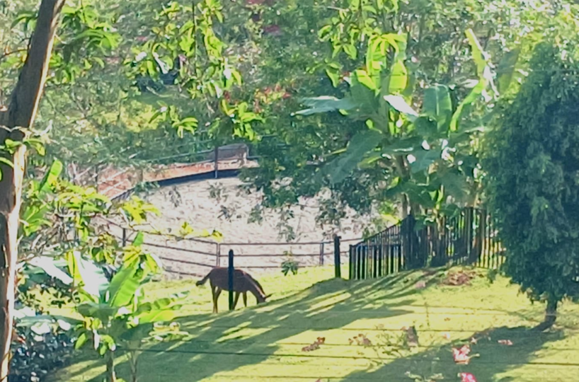 Homes for sale in Puriscal Costa Rica