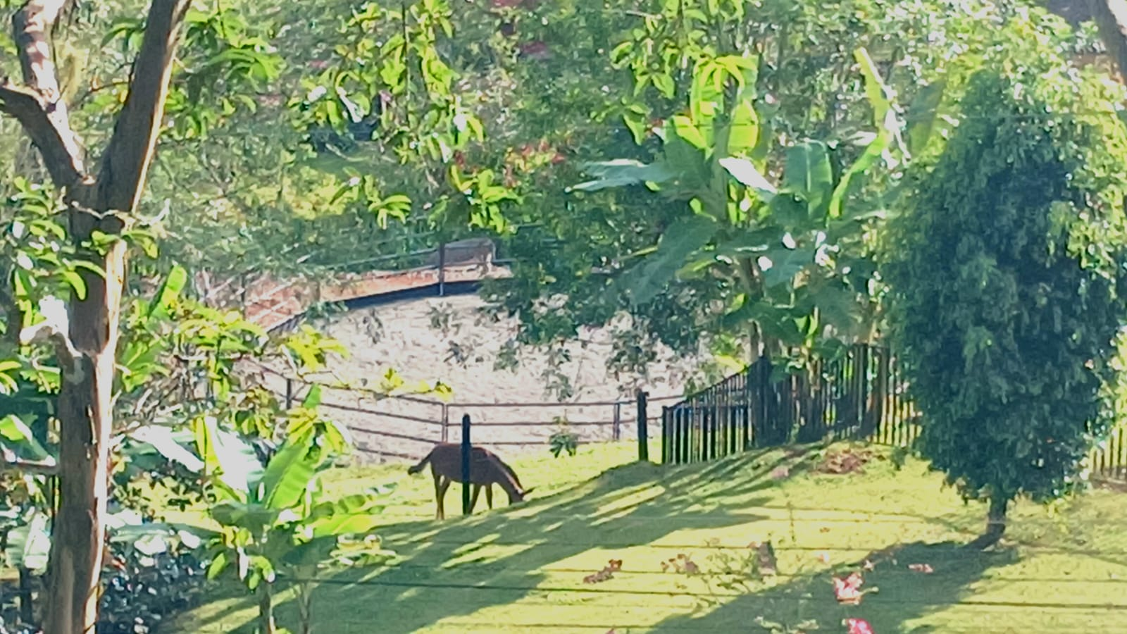 Puriscal Farm, Luxury Home, Pool & Horse Stables 1 Homes for sale in Puriscal Costa Rica