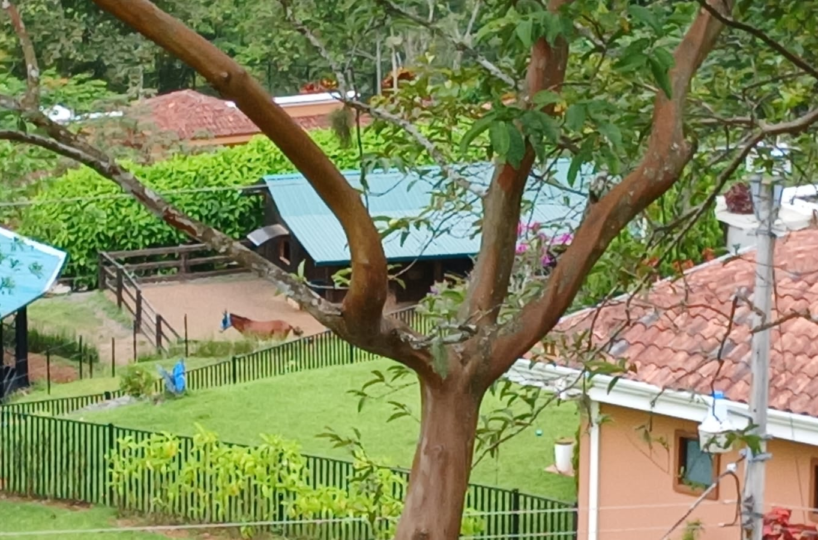 Homes for sale in Puriscal Costa Rica