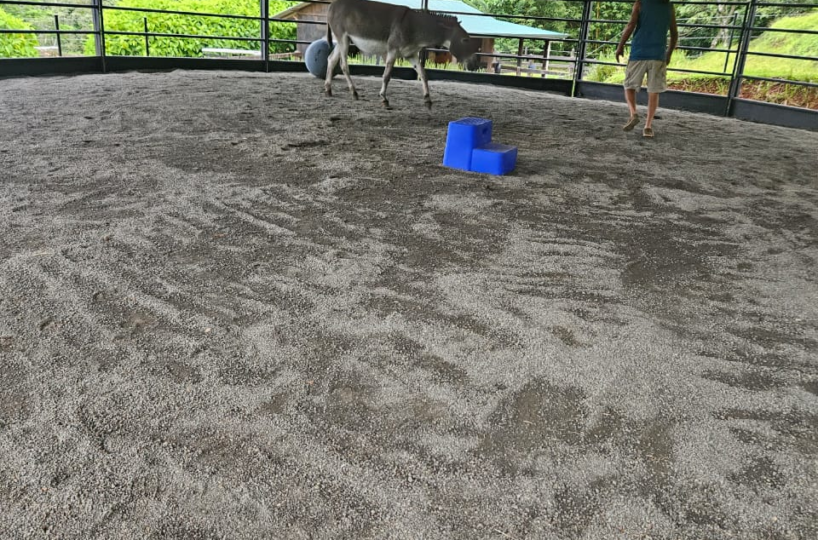 for sale in Puriscal Costa Rica