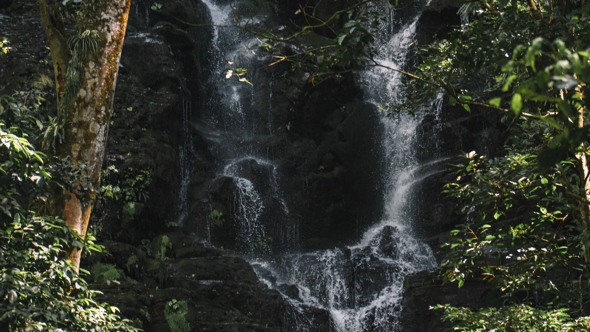 Buying Land & Building a Home in Costa Rica: 2026 Guide 8 Costa Rica land and rainforest