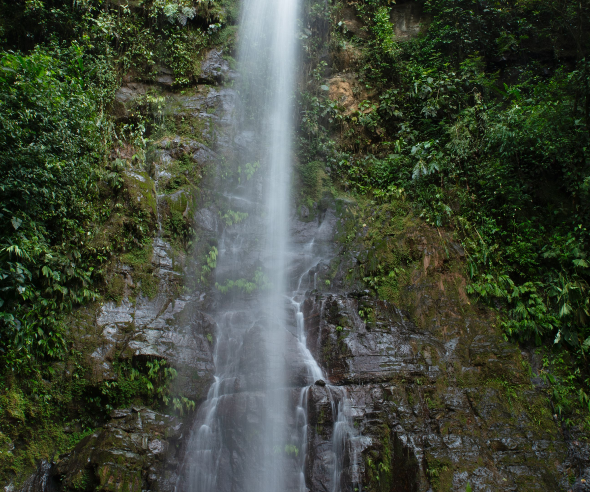Costa Rica nature