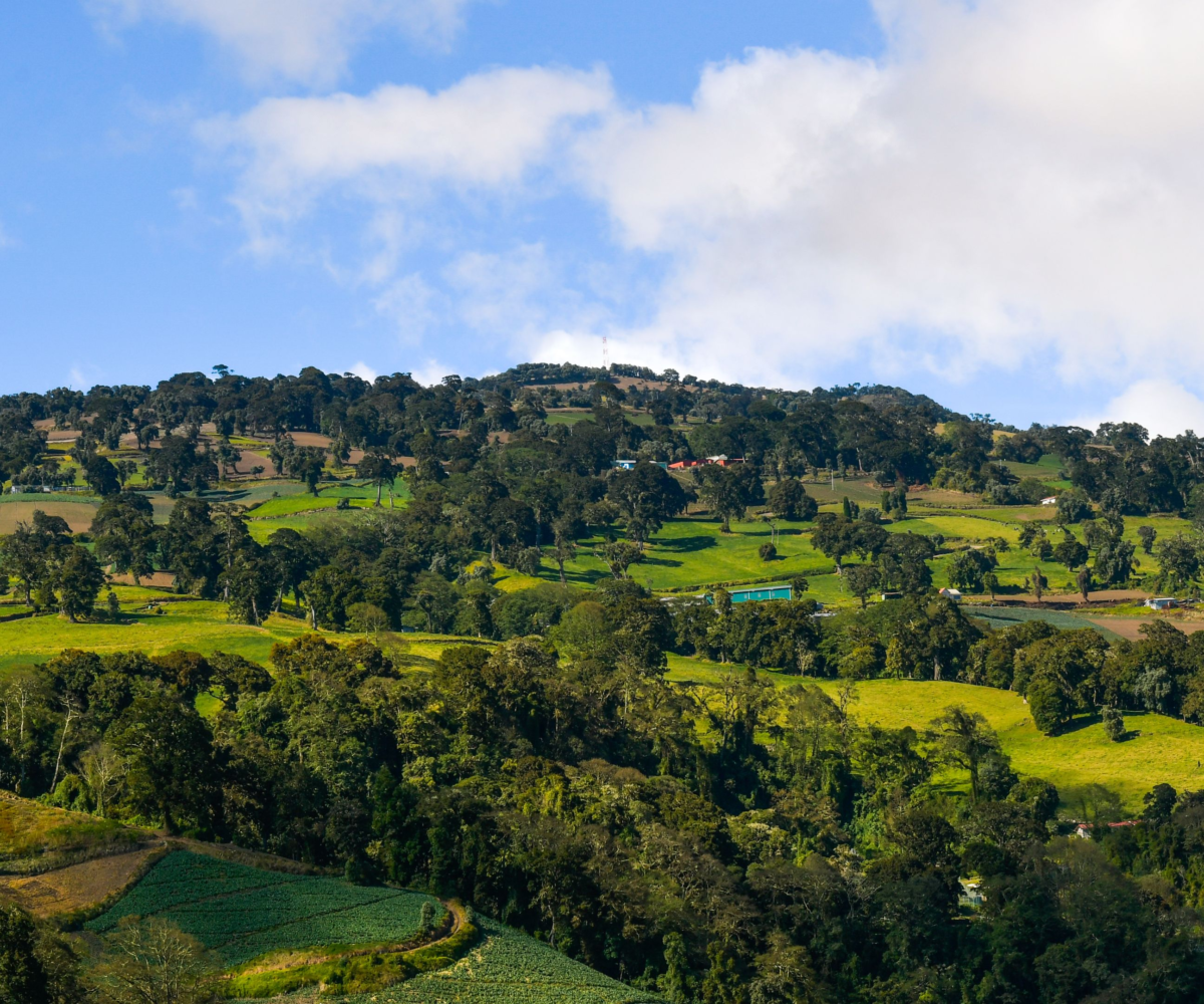 Costa Rica homes