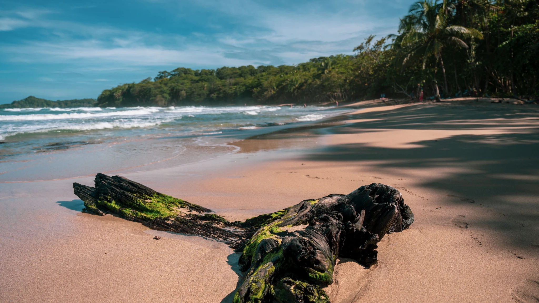 Costa Rica Real Estate for Canadian Buyers & Snowbirds (2026) 6 Costa Rica Pacific beach
