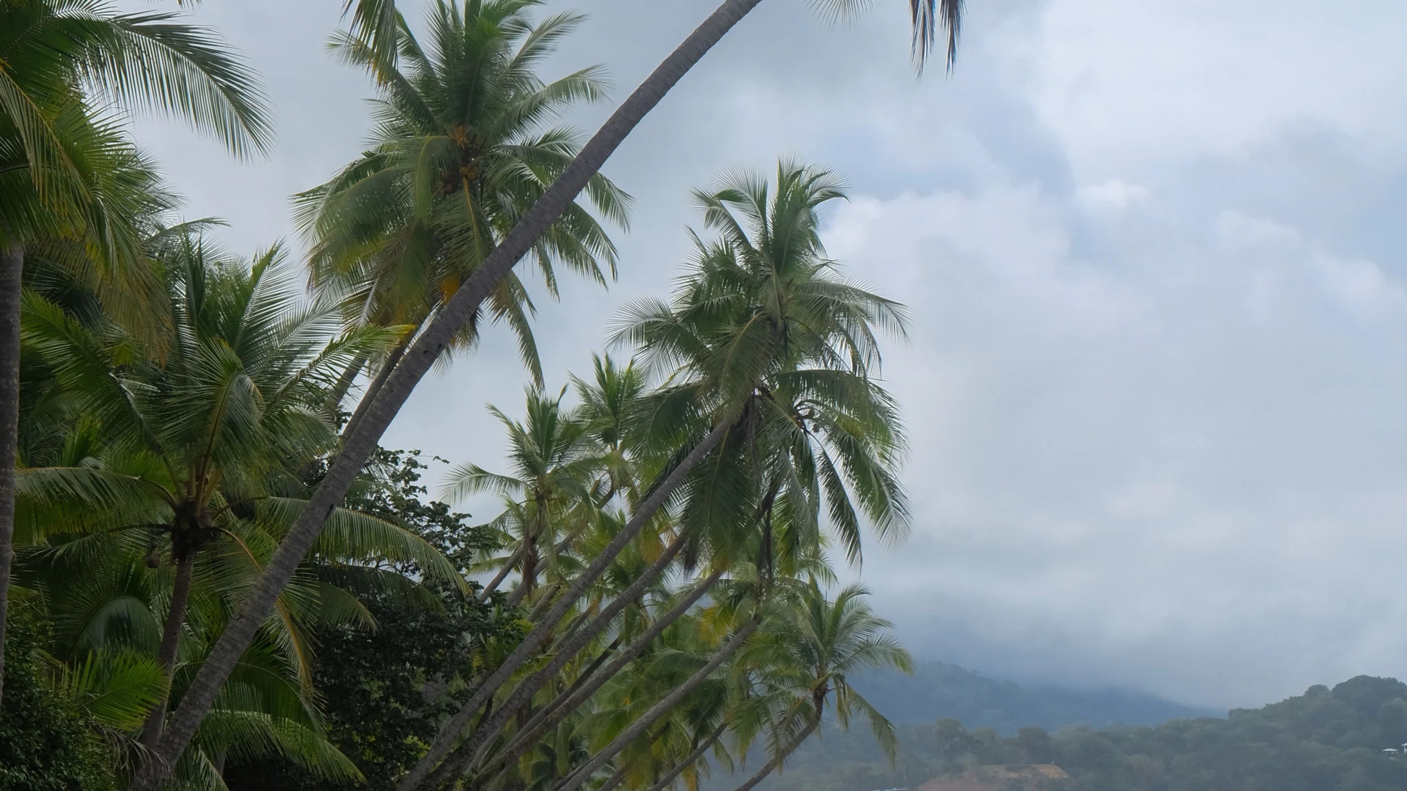 Costa Rica Real Estate for European Buyers & Retirees (2026) 5 Costa Rica coast