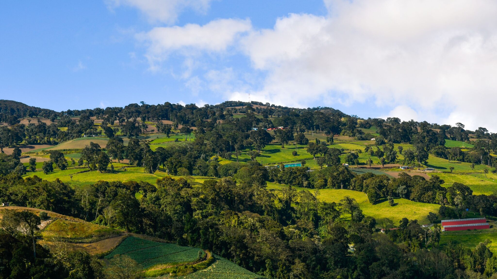 Heredia Costa Rica Real Estate: Homes in the “City of Flowers” 5 Heredia, Central Valley Costa Rica