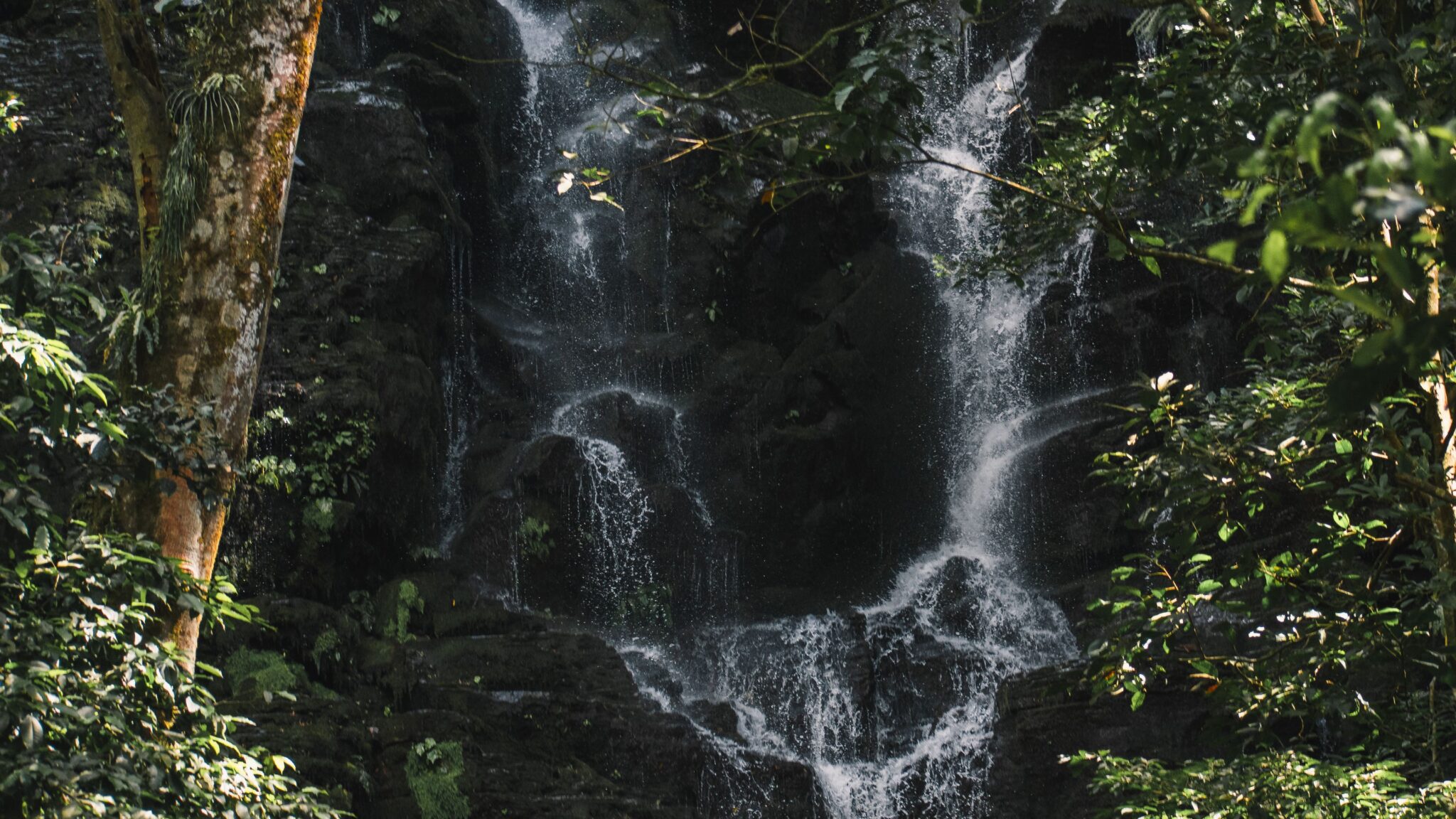 Manuel Antonio & Quepos Real Estate: Rainforest Meets Ocean 2 Manuel Antonio, Costa Rica