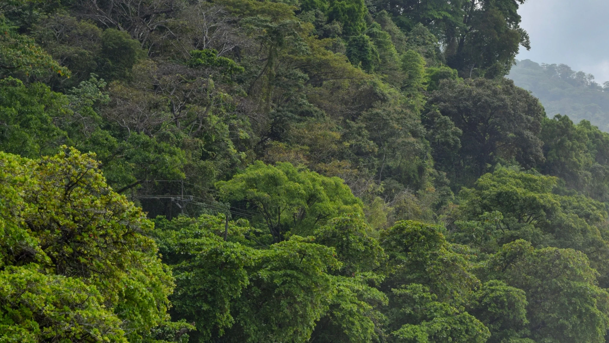 Oceanfront & Beachfront Land in Costa Rica: Titled vs Concession 9 Oceanfront Costa Rica coast