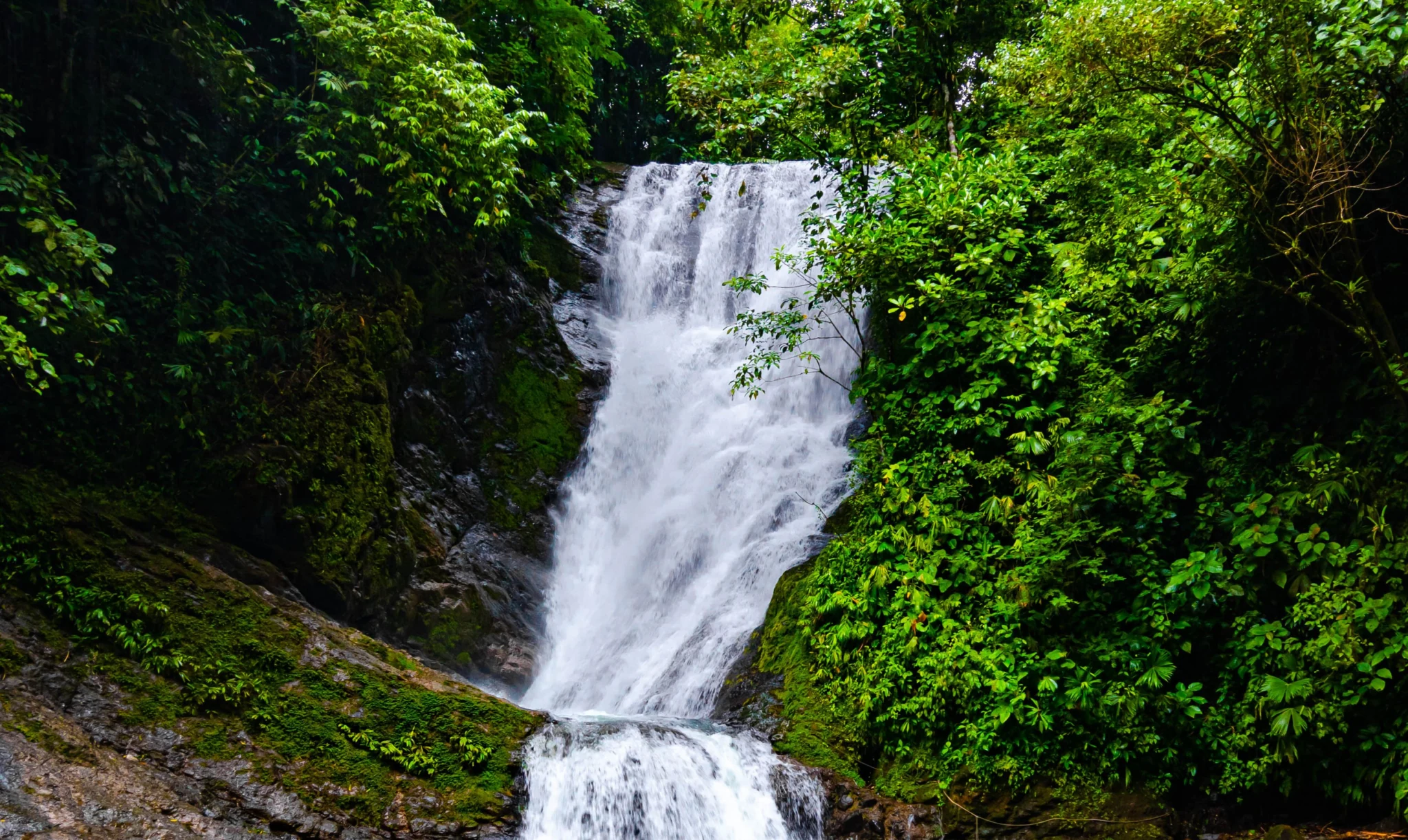 Eco & Off-Grid Homes in Costa Rica: Solar, Water & Sustainable Living 7 Eco off-grid nature, Costa Rica