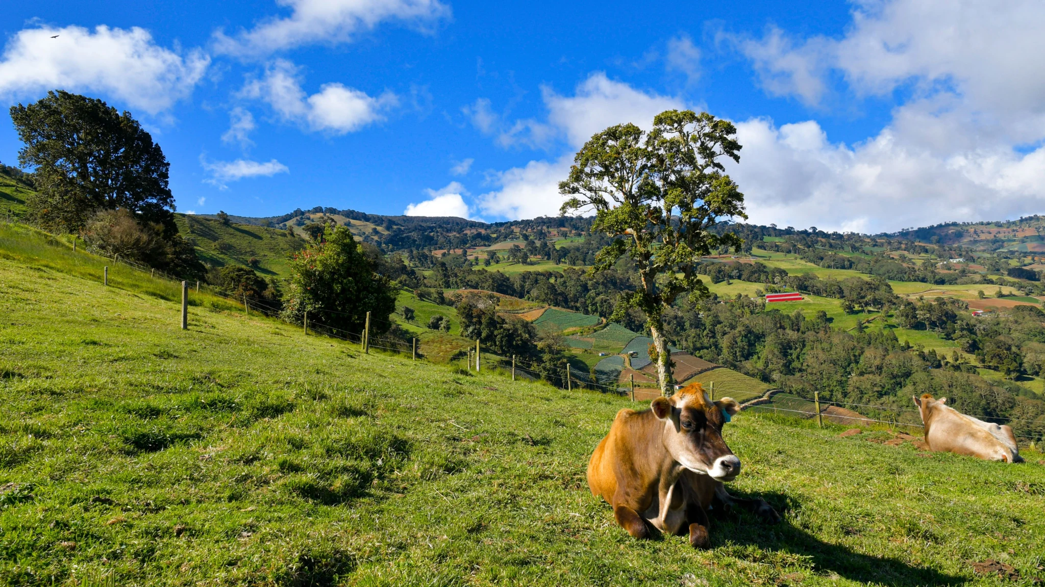 Costa Rica Real Estate 39 Building in Costa Rica mountains