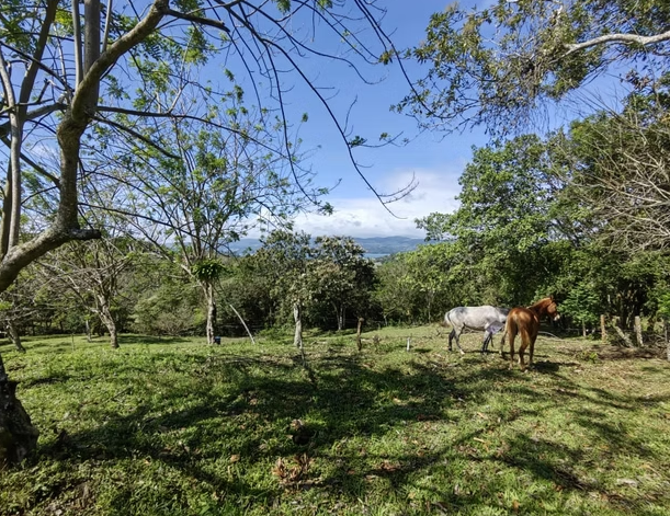 Building Lots for sale in TilaránTronadora Costa Rica