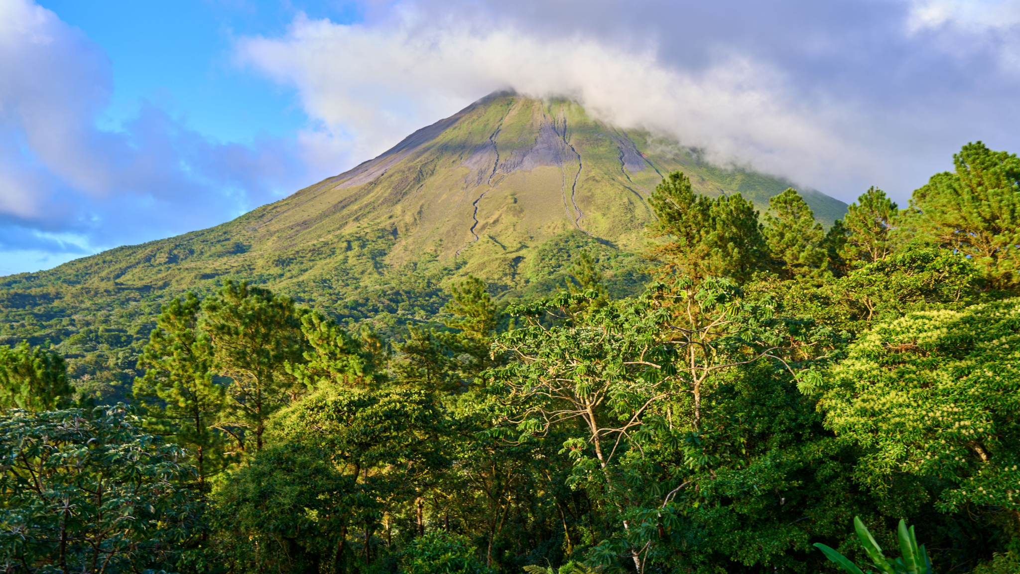 Costa Rica Real Estate 40 Costa Rica eco living for German buyers