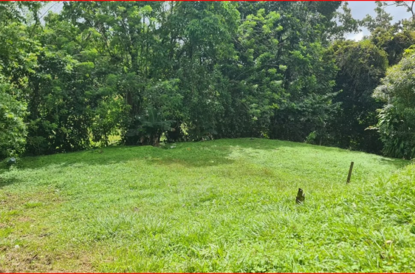 Commercial for sale in Nuevo Arenal Costa Rica