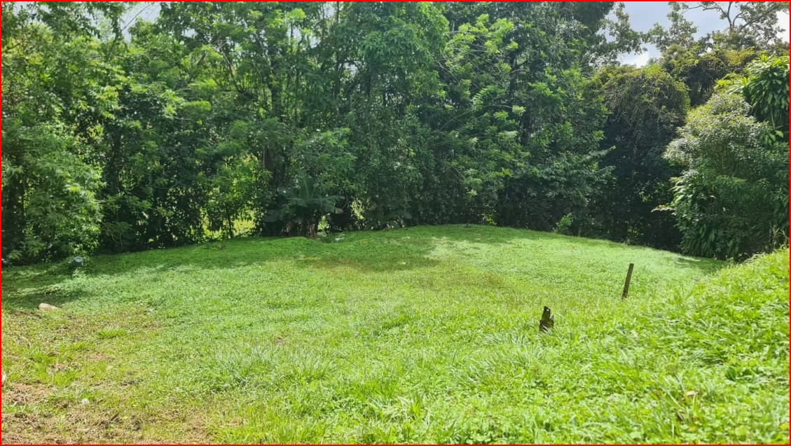 Commercial for sale in Nuevo Arenal Costa Rica