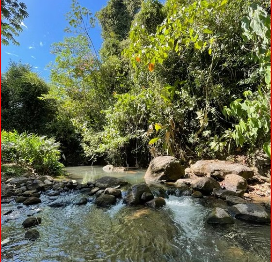 CommercialHotel - B&B for sale in All ZonesNuevo Arenal Costa Rica