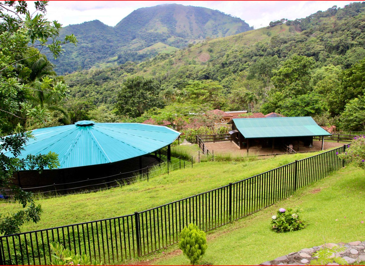 Farms and RanchesHomes for sale in Puriscal Costa Rica