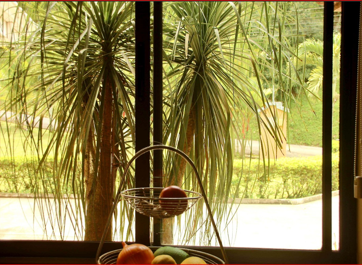 Farms and RanchesHomes for sale in Puriscal Costa Rica