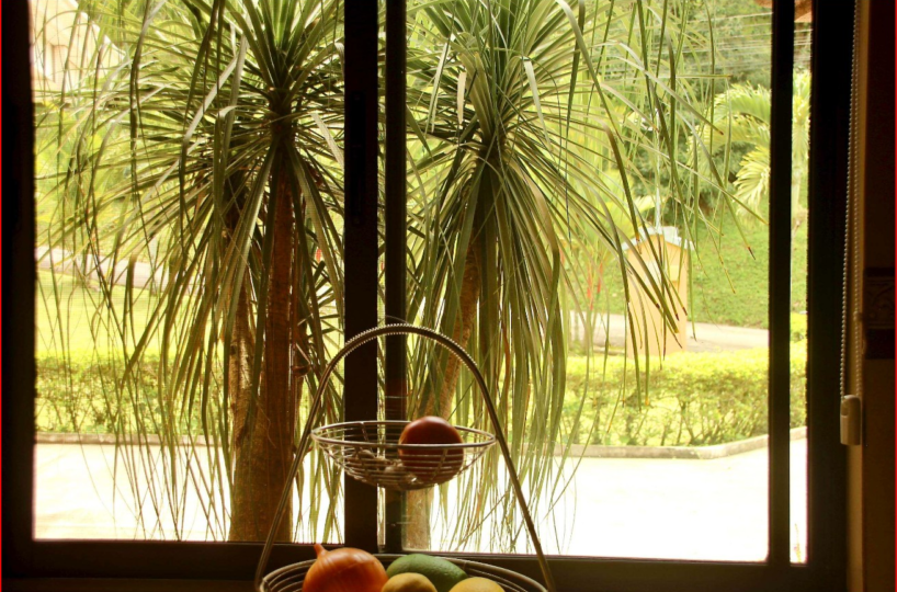 Farms and RanchesHomes for sale in Puriscal Costa Rica